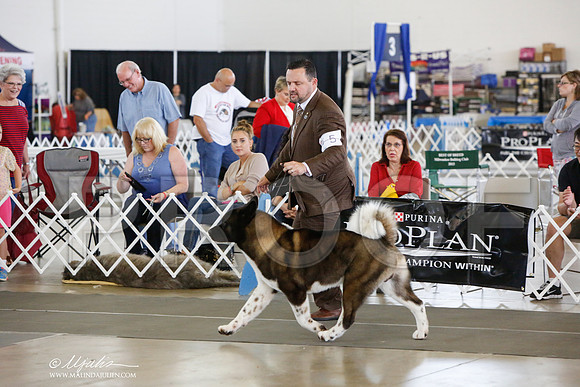 _JJ_1575-DallasJul2014-HR3