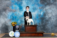 French Bulldog #7 Sat RWD Judge Judy Wade