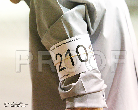 RNB Sun-0024