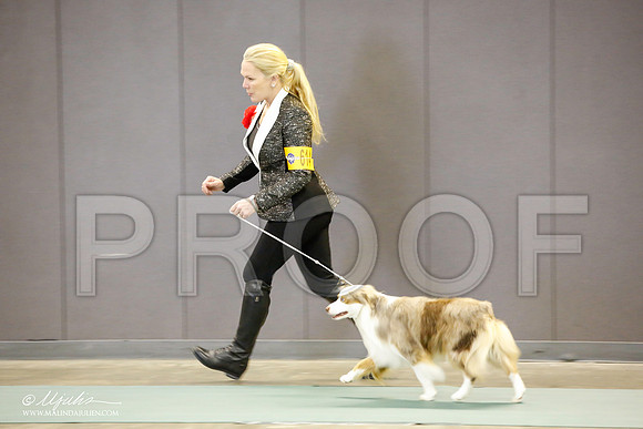 _JN_2357-BeltonJan2015-HR3