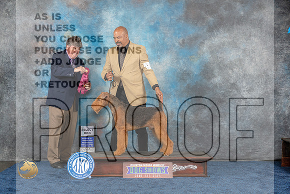 Airedale Terrier #9 Wed SD Judge OlvisMJP_1003_HOUSTON_2023_HR3