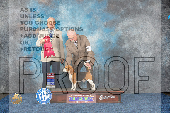 Beagle 15 #5 Wed 2nd Judge Eric LiebesMJP_1102_HOUSTON_2023_HR3