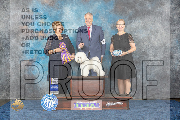 Bichon Frise #15 Wed Judge LaneMJP_0563_HOUSTON_2023_HR3