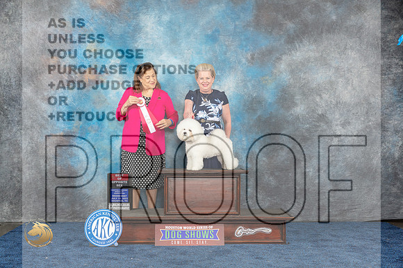 Bichon Frise #20 Wed BOS Judge Joan Lucas LiebesMJP_1226_HOUSTON_2023_HR3