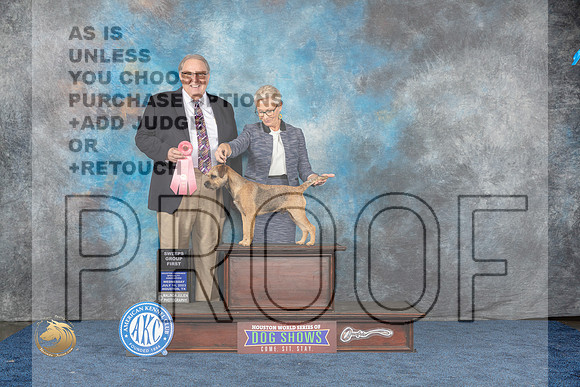 Border Terrier #15 Wed BIS Judge CrossMJP_1202_HOUSTON_2023_HR3