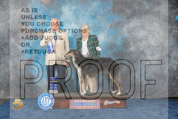 Borzoi #22 Wed WB BOW Judge Eric LiebesMJP_1084_HOUSTON_2023_HR3