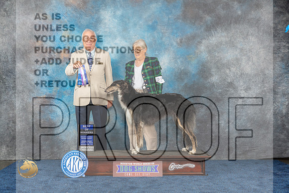 Borzoi #22 Wed WB BOW Judge Eric LiebesMJP_1087_HOUSTON_2023_HR3