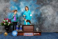 Boston Terrier #28 Wed WBBBE Judge Patricia V Trotter