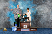 Boston Terrier #6 Wed AOM Judge Howard