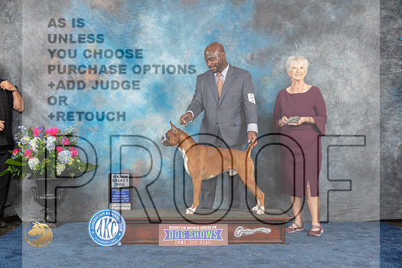Boxer #17 SDM Judge Elizabeth MuthardMJP_1847_HOUSTON_2023_HR3