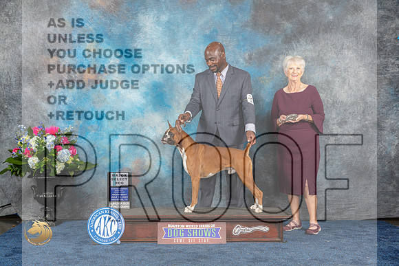 Boxer #17 SDM Judge Elizabeth MuthardMJP_1849_HOUSTON_2023_HR3
