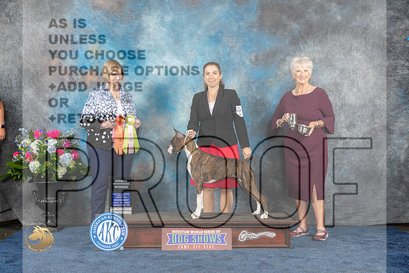 Boxer #18 Wed GrndSweeps Juge Carol HathawayMJP_1828_HOUSTON_2023_HR3