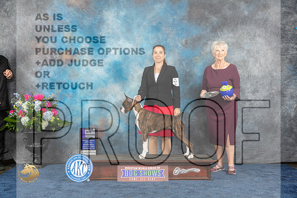 Boxer #18 Wed WBM Judge Elizabeth MuthardMJP_1833_HOUSTON_2023_HR3