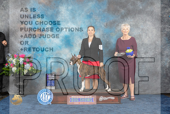 Boxer #18 Wed WBM Judge Elizabeth MuthardMJP_1835_HOUSTON_2023_HR3
