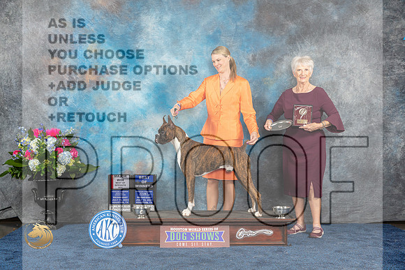 Boxer #43 Wed BOWBOSM Judge Elizabeth MuthardMJP_1839_HOUSTON_2023_HR3
