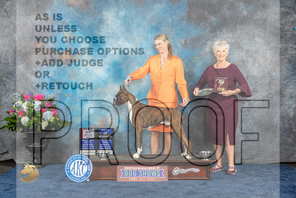 Boxer #43 Wed BOWBOSM Judge Elizabeth MuthardMJP_1840_HOUSTON_2023_HR3
