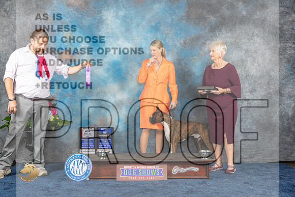 Boxer #43 Wed BOWBOSM Judge Elizabeth MuthardMJP_1845_HOUSTON_2023_HR3