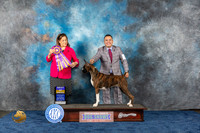 Boxer #46 Wed BOB Sp Judge Joan Liebes