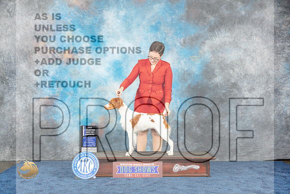 Brittany #14 Wed WB BOW NC Judge BrownMJP_0876_HOUSTON_2023_HR3