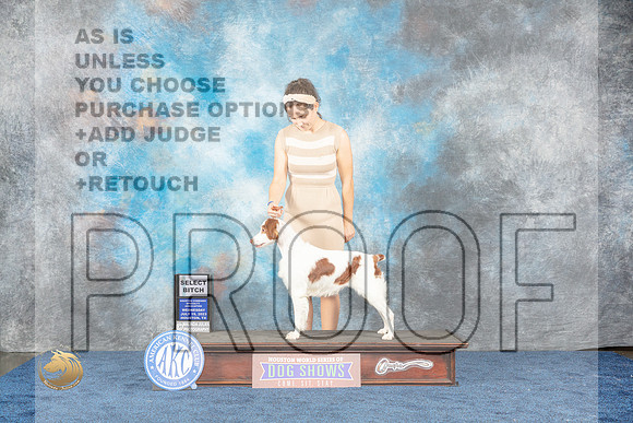Brittany #20 Wed SBS Judge BrownMJP_0782_HOUSTON_2023_HR3