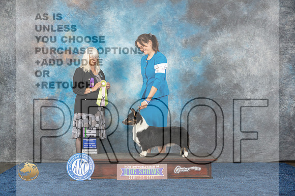 Cardigan Welsh Corgi #25 Wed BIS RES Judge Merickel Judge Del RichardsMJP_0759_HOUSTON_2023_HR3