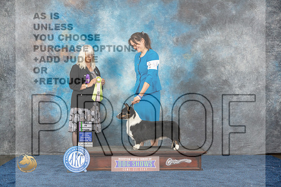 Cardigan Welsh Corgi #25 Wed BIS RES Judge Merickel Judge Del RichardsMJP_0760_HOUSTON_2023_HR3
