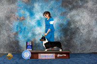 Cardigan Welsh Corgi #25 Wed RES Judge Del Richards