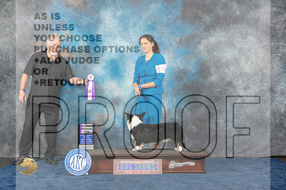 Cardigan Welsh Corgi #25 Wed RES Judge Del RichardsMJP_0770_HOUSTON_2023_HR3