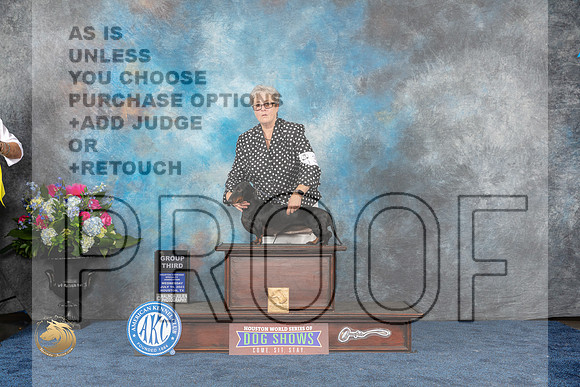 Dachshund Smooth #10 Wed G3 Judge Eric LiebesMJP_1867_HOUSTON_2023_HR3