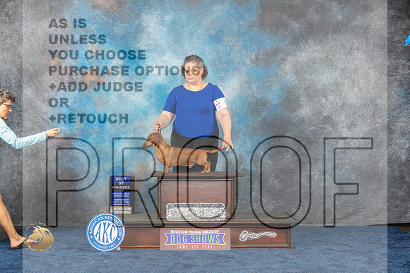 Dachshund Smooth #5 Wed WD BOW Judge MuthardMJP_1110_HOUSTON_2023_HR3
