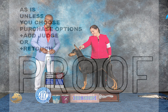 Doberman Pinscher #24 Wed SB BOBOH Judge WoodforkMJP_1053_HOUSTON_2023_HR3