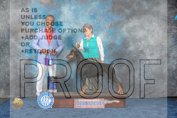 Doberman Pinscher #37 Wed WD BOW MAJ Judge WoodforkMJP_1047_HOUSTON_2023_HR3