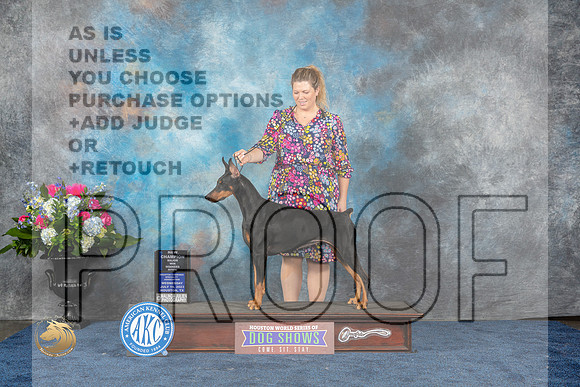 Doberman Pinscher #52 Wed WBM Judge Adrian W WoodforkMJP_1663_HOUSTON_2023_HR3