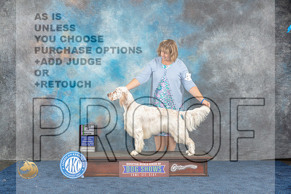 English Setter #21 Wed BIS Judge SchultzMJP_1185_HOUSTON_2023_HR3