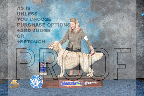 English Setter #9 Wed BOS Judge Del RichardsMJP_1166_HOUSTON_2023_HR3