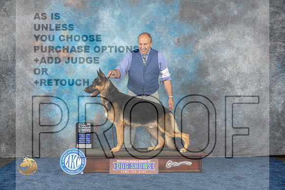 German Shepherd Dog #23 Wed SDGCh Joan Luna LiebesMJP_1365_HOUSTON_2023_HR3