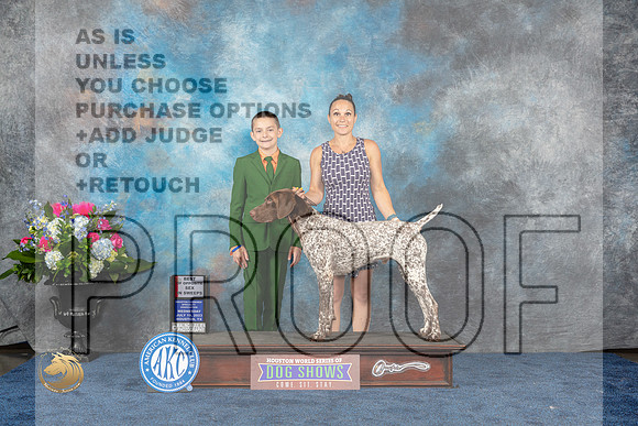 German Shorthaired Pointer #7 Wed BOSSweeps Judge Kimberly BettandorfMJP_1680_HOUSTON_2023_HR3