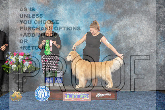 Golden Retriever #21 Wed AOM Judge Cheryl PattersonMJP_1563_HOUSTON_2023_HR3