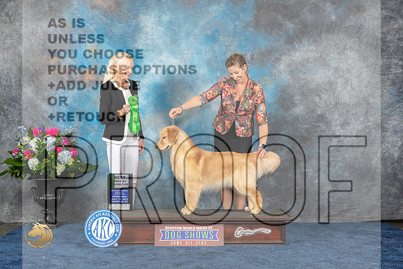 Golden Retriever #30 Wed BBE Judge Betsy SmithMJP_1506_HOUSTON_2023_HR3