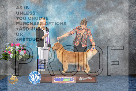 Golden Retriever #30 Wed BBE Judge Betsy SmithMJP_1523_HOUSTON_2023_HR3