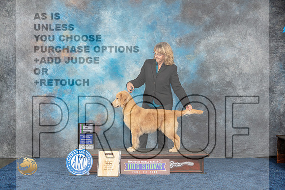 Golden Retriever #39 Wed BIS Judge FranklinMJP_1009_HOUSTON_2023_HR3