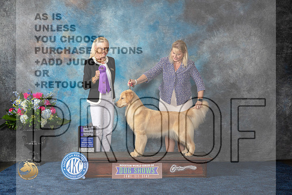 Golden Retriever #44 Wed WBM Judge Betsy SmithMJP_1493_HOUSTON_2023_HR3