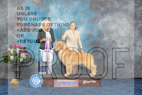 Golden Retriever #73 Wed RWD Judge Betsy SmithMJP_1572_HOUSTON_2023_HR3