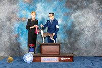 Italiant Greyhound #50 Wed BOS Judge Resnick