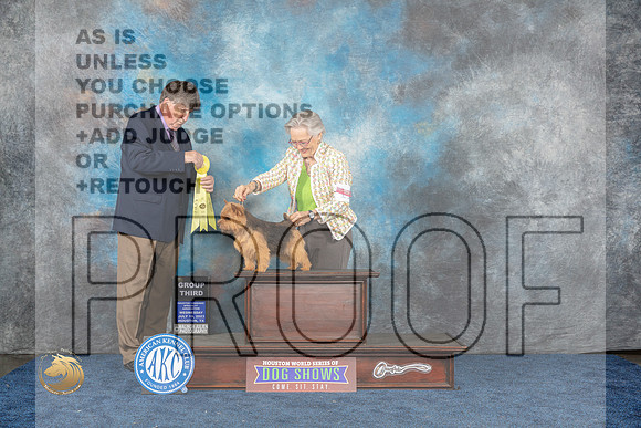 Norwich Terrier #11 Wed G3 Judge Charles OlvisMJP_1380_HOUSTON_2023_HR3