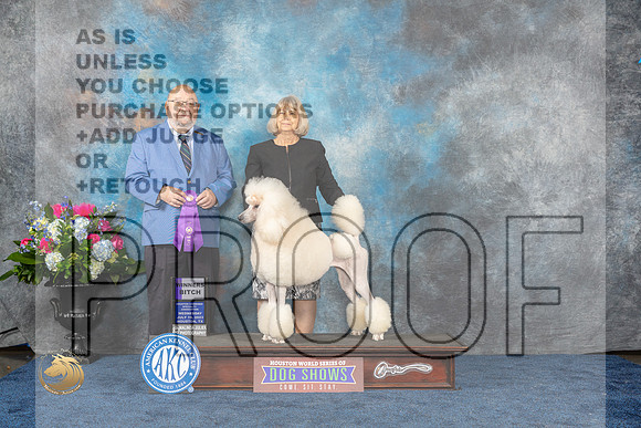 Poodle Std #38 Wed WB Judge Ray Filburn jrMJP_1803_HOUSTON_2023_HR3