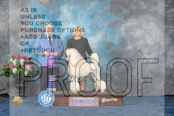 Poodle Std #38 Wed WB Judge Ray Filburn jrMJP_1806_HOUSTON_2023_HR3