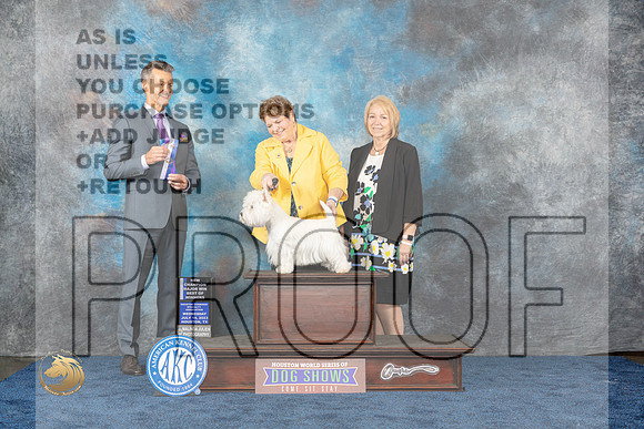 West Highland White Terrier #9 Wed NC Judge HarrisMJP_0618_HOUSTON_2023_HR3