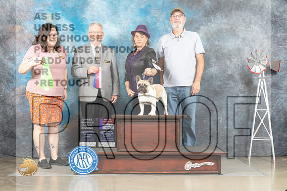 Boston Terrier #6 Thur BOBOHBOBOHG1 Judges Sherry Patton Alfred Ferruggiaro_MJ_3805_Amarillo_2022_HR3