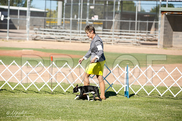 _JN_8436-AlamogordoOct2014-HR3